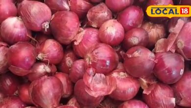 प्याज के कम दाम से किसान परेशान, मंडी में विरोध प्रदर्शन