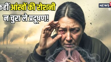 बढ़ता AQI खतरे की घंटी... जहरीली हवा कहीं चुरा न ले आंखों की रोशनी, डॉक्टर से जानें कैसे करें प्रदूषण से बचाव