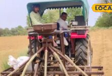 बरसात से बर्बादी, फिर वरदान बनी बारिश... नागौर के किसानों की किस्मत ने खाई नई करवट!