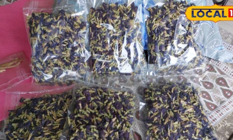 बेकार नहीं बेहद कीमती हैं ये फूल, इनसे बनती है 8000 रुपए किलो बिकने वाली चाय