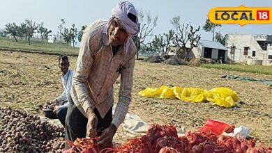 बेमौसम बारिश से प्याज की फसल को भारी नुकसान, किसान परेशान
