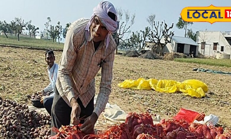 बेमौसम बारिश से प्याज की फसल को भारी नुकसान, किसान परेशान