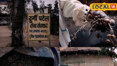 भरतपुर के किसान ने अपनाई कमाल की तकनीक, फसलों की गुणवत्ता बढ़ाने में बेहद कारगर, पैदावार भी हो रही बंपर