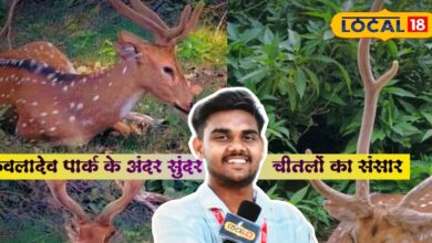 भारत का ये नेशनल पार्क सिर्फ पक्षियों का नहीं, चीतलों का भी स्वर्ग है...