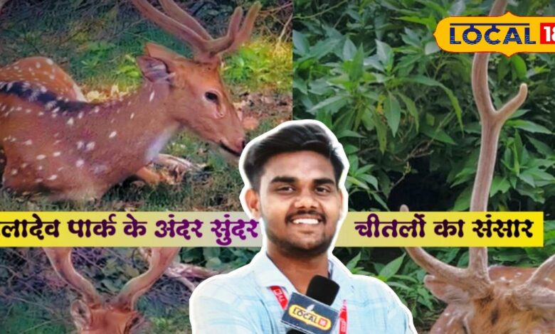 भारत का ये नेशनल पार्क सिर्फ पक्षियों का नहीं, चीतलों का भी स्वर्ग है...