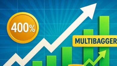 मल्टीबैगर स्टॉक: 5 साल में 400% उछाल! क्रिशिवल फूड्स के राइट्स इश्यू पर निवेशकों की नजरें