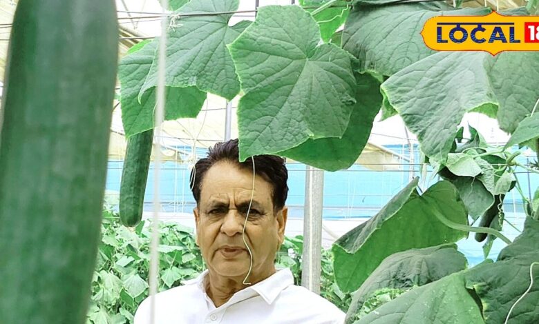 मेहनत और नवाचार की मिसाल बने सीकर के किसान, पॉलीहाउस खेती ने बदली किस्मत, 20 लाख है सालाना की कमाई