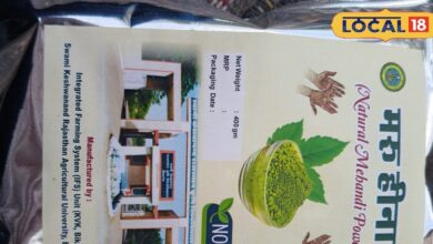 रेगिस्तान की रेत से उठी खुशबू! जोधपुर यूनिवर्सिटी की ‘मरू हीना’ ने मचाई नेचुरल मेहंदी की धूम