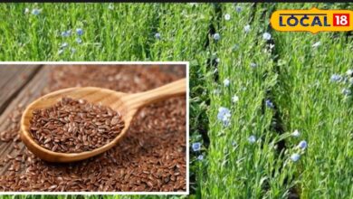 लाभ, बुवाई और देखभाल के तरीके