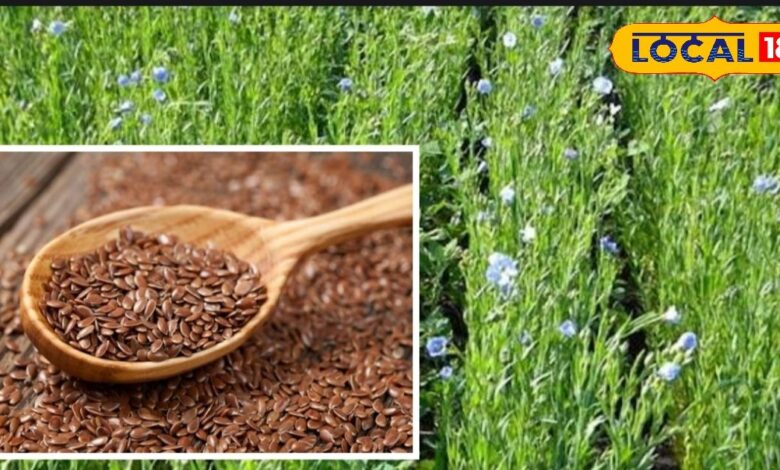 लाभ, बुवाई और देखभाल के तरीके