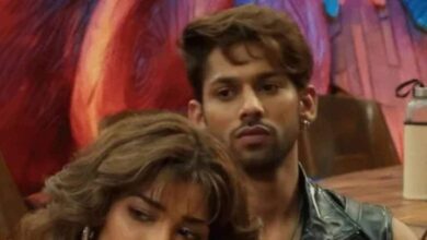 'लोग उसकी मासूमियत का... ', बशीर अली के लिए बुरा फील कर रही मां अफशां खान, नेहल के लव एंगल को बताया गेम प्लान