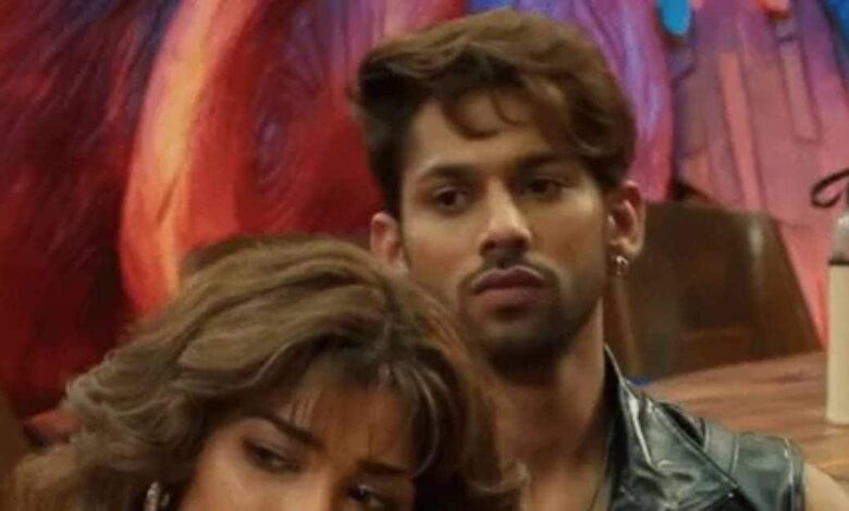 'लोग उसकी मासूमियत का... ', बशीर अली के लिए बुरा फील कर रही मां अफशां खान, नेहल के लव एंगल को बताया गेम प्लान