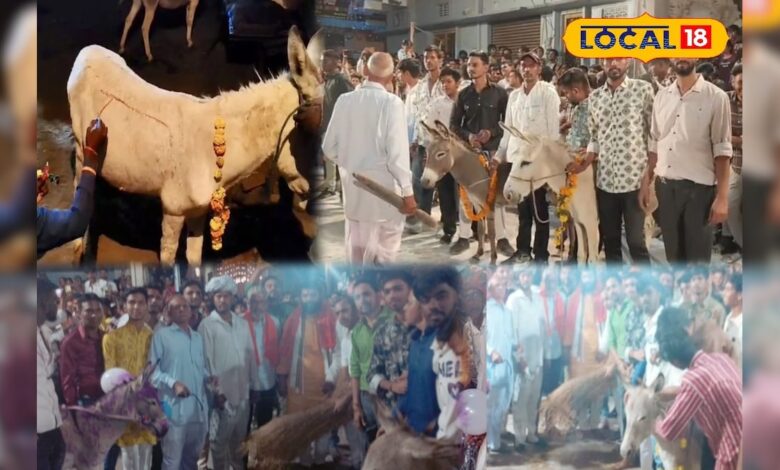 लोगों पर बरसी गधों की कृपा...! राजस्थान में होती है अनोखी पूजा, जिसे देखने के लिए उमड़ती भीड़ – News18 हिंदी