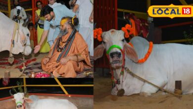 श्रीजड़खोर गोधाम में 10 हजार गौमाता पूजा का विश्व रिकॉर्ड