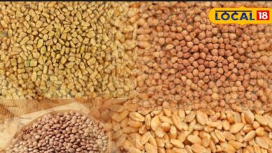 सर्दियों में बोई जाने वाली ये फसलें भर देंगी किसानों की जेब, जानिए कौन-कौन सी?