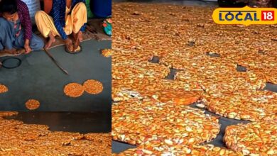 सर्दी के साथ लौटी देसी स्वाद की खुशबू, गजक से महकने लगी है गलियां, इस वैरायटी की है सबसे अधिक डिमांड