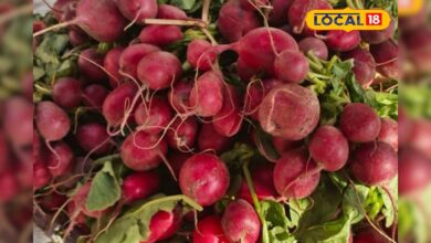 सिर्फ एक महीने में तैयार होती है मूली की यह वैरायटी, सेहत और स्वाद का है खजाना, जान लें खेती का तरीका