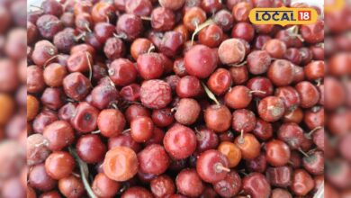 सिर्फ एक माह मिलता है ये देशी फल, जिसे खाने से नहीं लगती कोई गंभीर बीमारी!