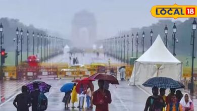 सिर्फ पैसे की बर्बादी.. आर्टिफिशियल रेन से प्रदूषण नहीं होता है कम, दिल्ली की जहरीली हवा पर एनवायरनमेंटलिस्ट सुनील दहिया