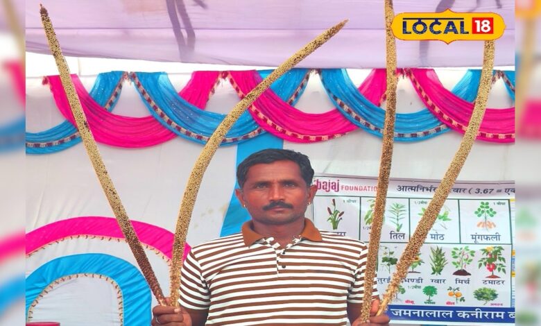 सीकर के किसान ने किया कमाल! खुद के खेत में तैयार किया देशी बाजरे का नया बीज, कमा रहे लाखों रुपए