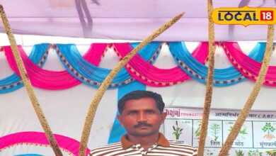 सीकर के किसान ने कृषि वैज्ञानिकों को दी टक्कर! इजाद किया हाई-यील्ड बाजरा बीज, लाखों में हो रही कमाई