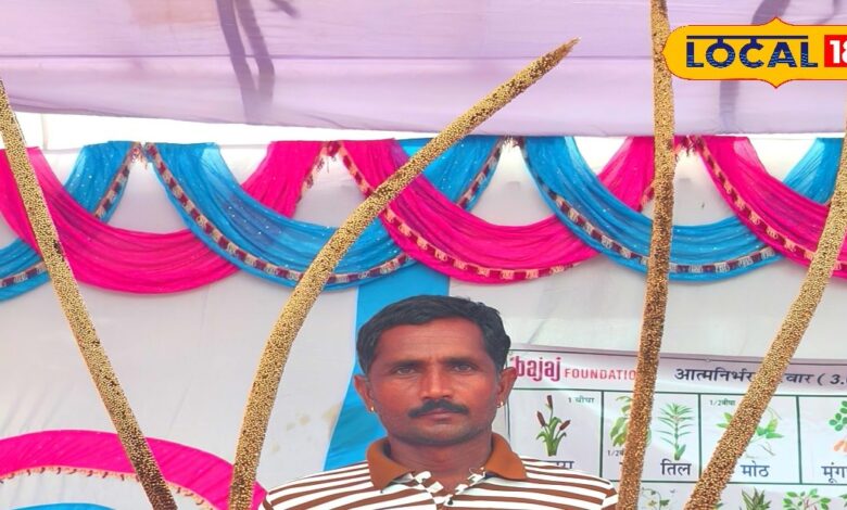 सीकर के किसान ने कृषि वैज्ञानिकों को दी टक्कर! इजाद किया हाई-यील्ड बाजरा बीज, लाखों में हो रही कमाई