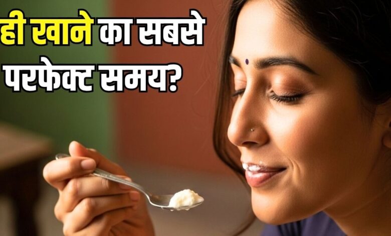 सुबह, दोपहर या शाम... जानिए दही खाने का सबसे सही समय क्या है? इस टाइम खाया तो हो जाएंगे बीमार! जानिए क्यों