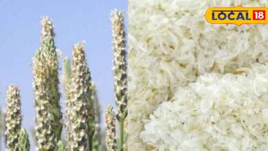 सेहत का रक्षक बना किसानों की कमाई का जरिया, इस तरह करें खेती, बंपर उत्पादन के साथ मिलेगा तगड़ा मुनाफा