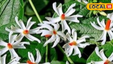 सेहत का रखवाला है महादेव का ये प्रिय पौधा, ऐसे करें सेवन, दूर हो जाएंगी कई बीमारियां