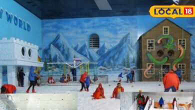 स्नो वर्ल्ड हैदराबाद टिकट, टाइमिंग और आकर्षण की पूरी जानकारी.