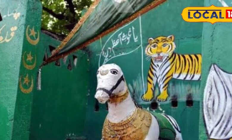 हैदराबाद की वो कब्र, जहां मालिक के साथ दफन हुआ उसका जान लुटाने वाला घोड़ा - वफादारी की अनोखी मिसाल