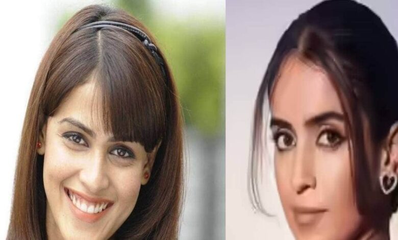 1 लाइन के आइडिया को 90 पेज में बदला, 29 करोड़ में बनी फिल्म, रिलीज होते ही निकली ब्लॉकबस्टर, कमाए 219 करोड़ - one line story idea convert into 90 pages script Ayushmann Khurrana neena gupta Badhaai Ho movie turn blockbuster earn rs 220 crore surprisingly