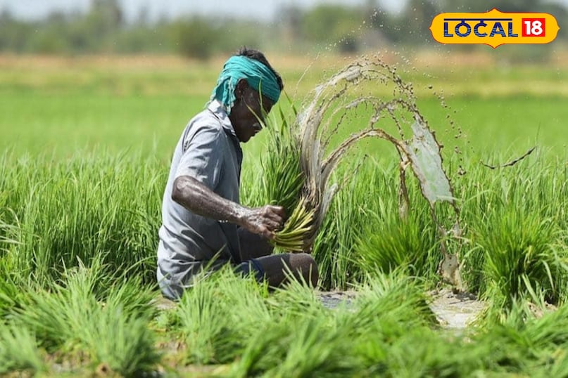 उदयपुर  उदयपुर