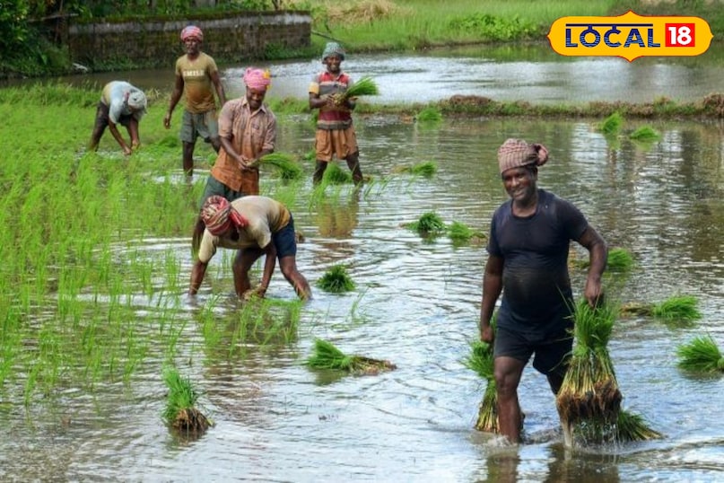 उदयपुर  उदयपुर