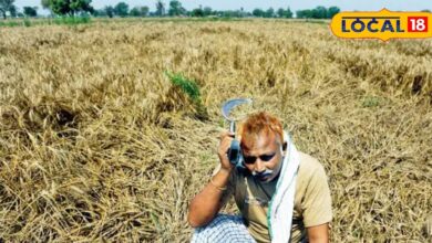 Agriculture News : राजस्थान में बेमौसम बरसात से किसानों की फसलें बर्बाद, अब सरकार देगी बीमा राहत!