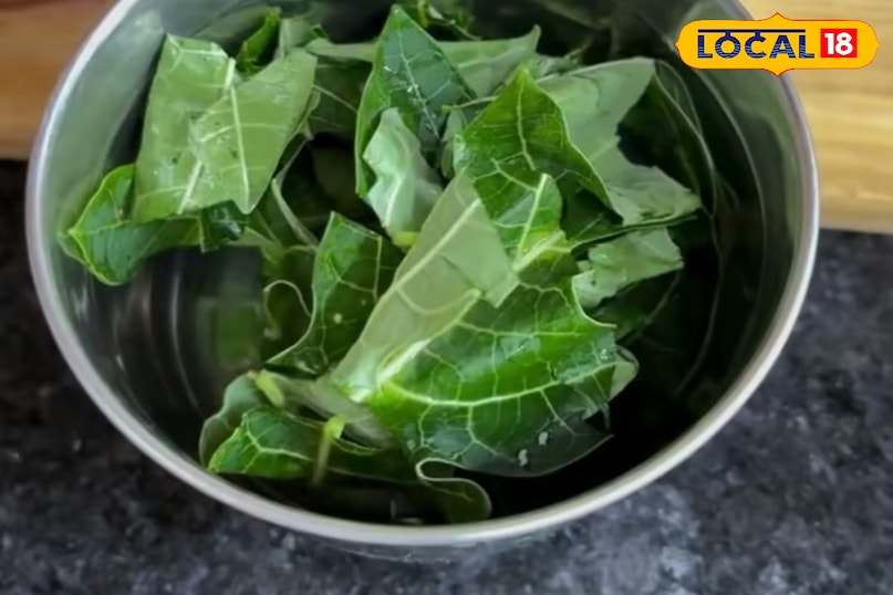 पपीते के पत्ते पपीते के पत्ते