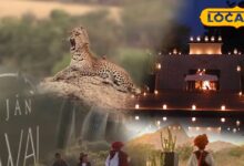 Luxury Jungle Hotel In Pali | Luxury Jungle Hotel India | Unique Resorts | Celebrity Destination | Royal Stay | Expensive Hotels in India | Nature Retreat | Luxury Travel | Hidden Gem India