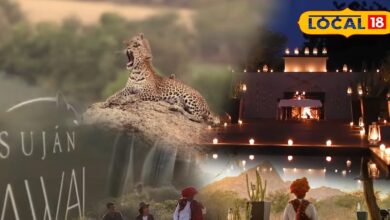 Luxury Jungle Hotel In Pali | Luxury Jungle Hotel India | Unique Resorts | Celebrity Destination | Royal Stay | Expensive Hotels in India | Nature Retreat | Luxury Travel | Hidden Gem India