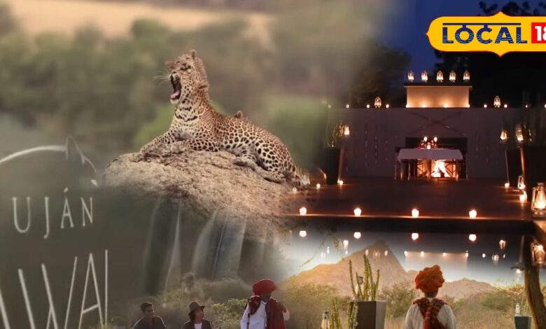 Luxury Jungle Hotel In Pali | Luxury Jungle Hotel India | Unique Resorts | Celebrity Destination | Royal Stay | Expensive Hotels in India | Nature Retreat | Luxury Travel | Hidden Gem India