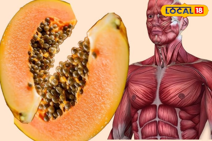 Natural Growth Booster: बच्चों की लंबाई और ताकत बढ़ाने में पपीता बना सबसे असरदार फल Natural Growth Booster: बच्चों की लंबाई और ताकत बढ़ाने में पपीता बना सबसे असरदार फल