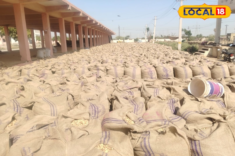 मूंगफली 