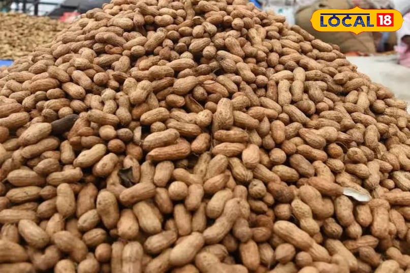 मूंगफली 