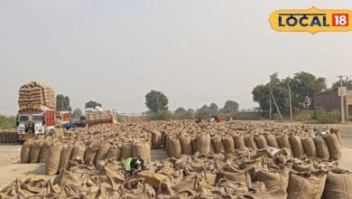 Peanut Market 2025 | Groundnut Mandi Prices | Rajasthan Agriculture News | Farmers Crop Sale | Groundnut Procurement Update | India Agri Market Trends