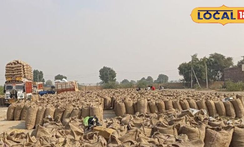 Peanut Market 2025 | Groundnut Mandi Prices | Rajasthan Agriculture News | Farmers Crop Sale | Groundnut Procurement Update | India Agri Market Trends