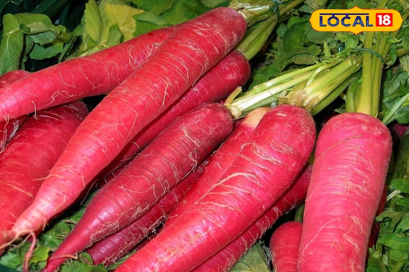 गाजर गाजर, अपनी मिठास और कुरकुरेपन के लिए जानी जाती है, और यह शरद ऋतु की ठंडक में बेहतरीन ढंग से विकसित होती है। ठंडा मौसम गाजर के स्वाद और रंग को और भी समृद्ध बना देता है। हालाँकि इसके पकने में 70 से 80 दिनों तक का समय लग सकता है, लेकिन बाजार में इसके भाव अच्छे मिलने के कारण यह प्रतीक्षा लाभकारी साबित होती है।