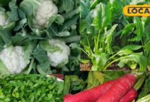 profitable crops in autumn | small farmer income | Rabi crops | wheat mustard farming | chickpea and pea cultivation | agriculture tips India | organic farming methods