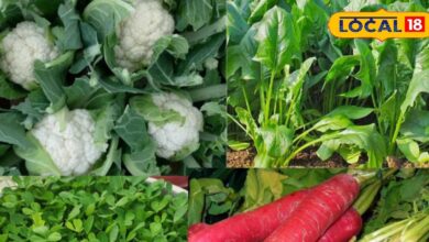 profitable crops in autumn | small farmer income | Rabi crops | wheat mustard farming | chickpea and pea cultivation | agriculture tips India | organic farming methods