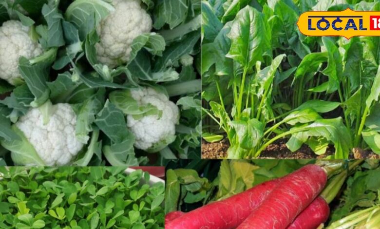 profitable crops in autumn | small farmer income | Rabi crops | wheat mustard farming | chickpea and pea cultivation | agriculture tips India | organic farming methods