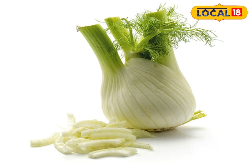 बालकनी में उगाएं ऑर्गेनिक सौंफ, पाचन तंत्र का रामबाण इलाज अब आपके घर पर