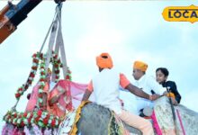 हाथी पर आया भाई, क्रेन से उतरी बहन, जोधपुर के इस अनोखे मायरे की रस्म ने जीता सबका दिल